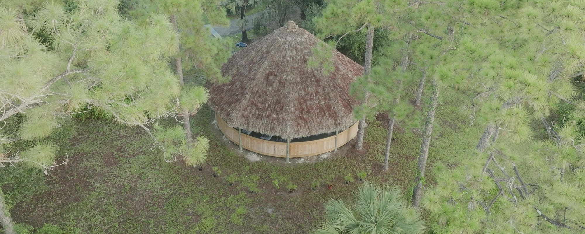 The maloca's thatched roof seen through the canopy